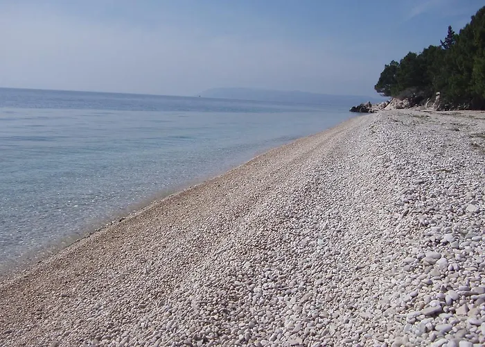 Nikola Makarska