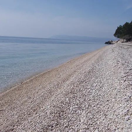 Nikola Makarska